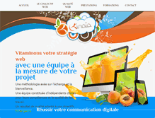 Tablet Screenshot of kinaia.fr
